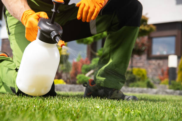 Best Affordable Pest Control Services  in Lindsay, CA