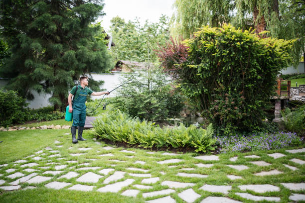 Best Best Pest Control Near Me  in Lindsay, CA