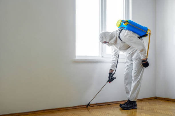 Professional Pest Control in Lindsay, CA