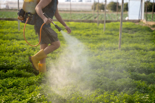 Best Pest Removal Services  in Lindsay, CA