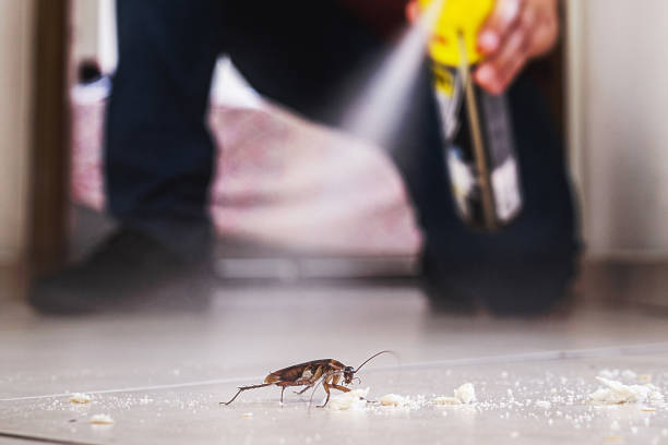 Best Termite Control Services  in Lindsay, CA