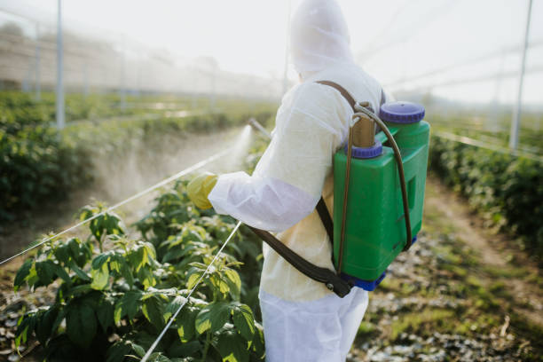 Pest Prevention Services in Lindsay, CA